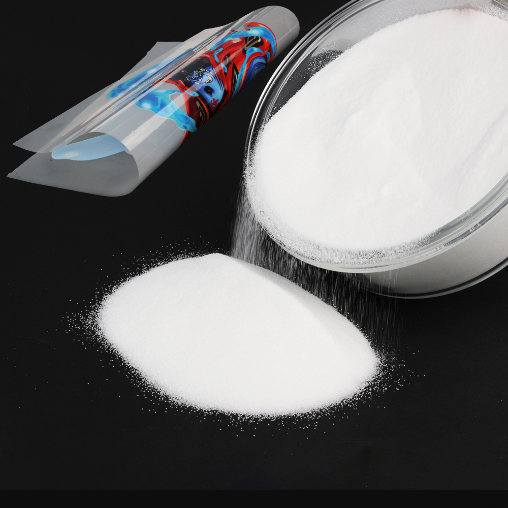 Polvere DTF Fine da 1kg per St - Solvent Printer Ink recensione e prezzo