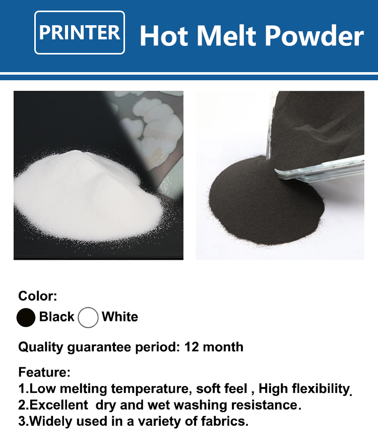 Polvere DTF Fine da 1kg per St - Solvent Printer Ink recensione e prezzo