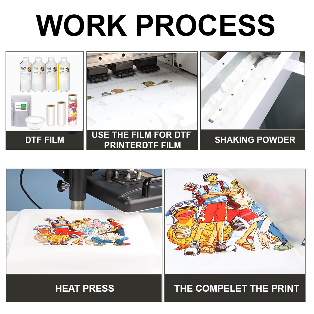 Polvere DTF Fine da 1kg per St - Solvent Printer Ink recensione e prezzo